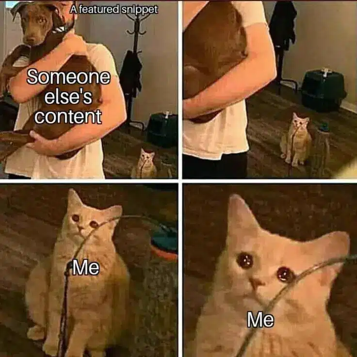 seo memes