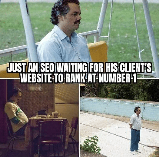 seo memes