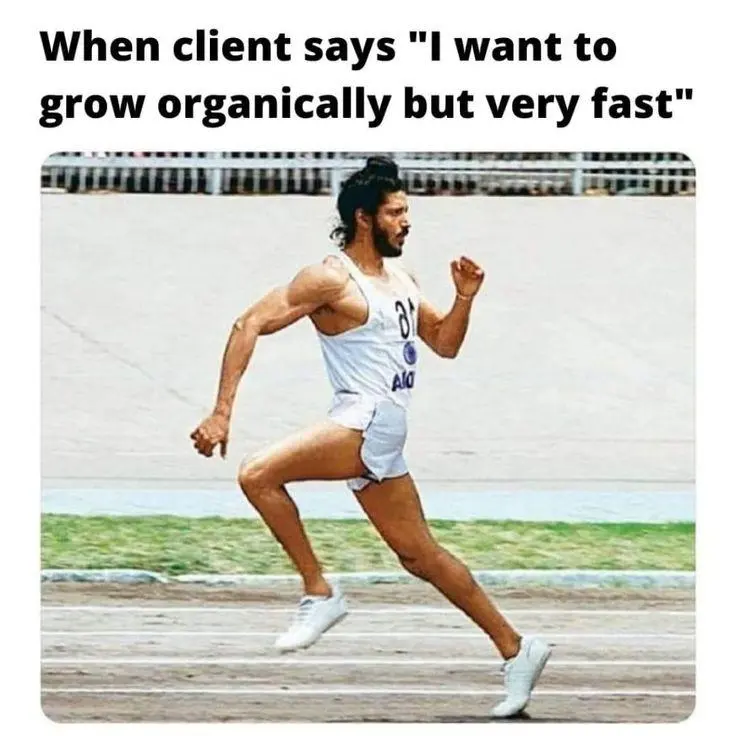 seo memes