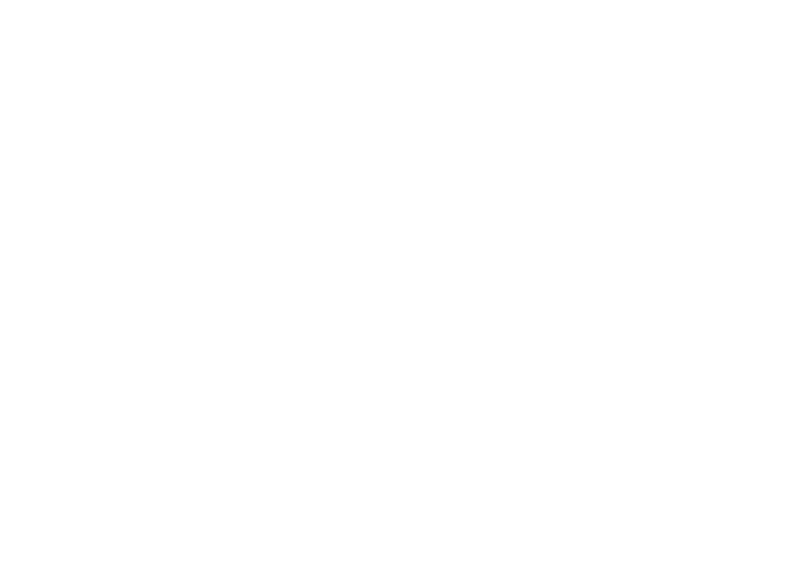 Our Vision